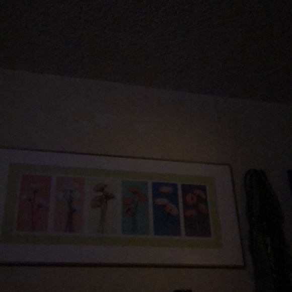 Meet your Posher, May - Picture 1 of 1